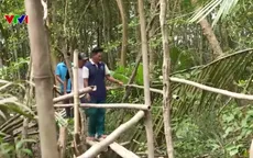 Người đàn ông 30 năm lặng lẽ giữ màu xanh cho rừng Cù Lao Dung