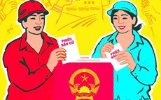 Thế nào là người được giới thiệu ứng cử và thế nào là người tự ứng cử?