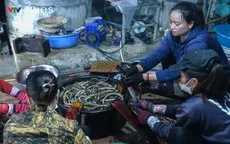 Làng chế biến lươn lớn nhất xứ Nghệ “vươn xa thị trường” dịp Tết