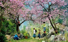 Rét bao trùm miền Bắc từ mùng 2 Tết, miền Đông Nam Bộ chạm ngưỡng 35°C