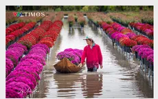 Xuân trên nghề hoa kiểng Sa Đéc – một di sản sống giữa dòng phù sa