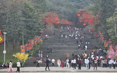 Phú Thọ: Ba vạn du khách hành hương về dâng hương Đền Hùng đầu năm Bính Ngọ 