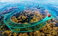 Quy Nhơn vào Top 25 điểm đến xu hướng hàng đầu thế giới năm 2026