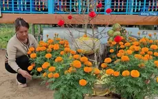 Xuất khẩu lao động mở lối thoát nghèo, nhiều gia đình Đồng Tháp khởi sắc