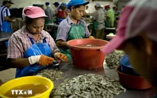 Thái Lan gia hạn thời gian làm giấy phép lao động