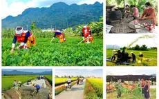 Thêm danh hiệu “Xã tiêu biểu”, “Phường, thị trấn tiêu biểu” vào Luật Thi đua, khen thưởng