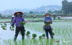 Bà con nông dân hồ hởi xuống đồng sản xuất vụ xuân