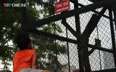 Cẩn trọng với nguy cơ bị động vật trong khu du lịch cắn