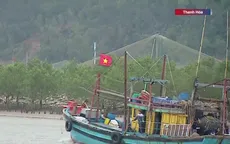 Ngư dân Thanh Hóa khai xuân mở biển