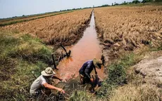 Chủ động ứng phó xâm nhập mặn, hạn hán và cháy rừng