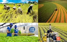 Bộ Tài chính đề xuất nâng hỗ trợ phí bảo hiểm nông nghiệp lên tới 95% cho hộ nghèo