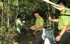 Thả các cá thể động vật hoang dã về với tự nhiên tại vườn quốc gia Chư Yang Sin