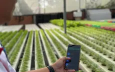 Hoàn thiện 25 cơ sở dữ liệu, ngành nông nghiệp và môi trường tăng tốc chuyển đổi số