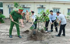 TP Hồ Chí Minh: Trồng hàng trăm cây gỗ quý Cẩm lai đầu xuân