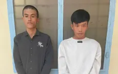 Cướp giật dây chuyền vàng, 2 thanh niên sa lưới