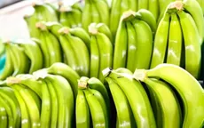 Nhật Bản chi hơn 6.000 tỷ đồng mua rau quả Việt