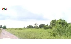 Người dân giảm gánh nặng tài chính khi chuyển đổi đất nông nghiệp