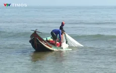 Ruốc dạt bờ đầu năm, ngư dân thu tiền triệu mỗi ngày
