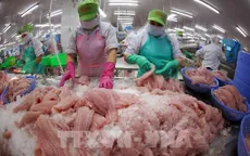 Xuất khẩu nông lâm thủy sản tăng mạnh