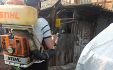 TP Hồ Chí Minh: Xử lý ổ dịch sốt xuất huyết tại phường Tân Hưng