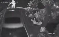 Hiệu trưởng trường tiểu học bị xe tải tông tử vong