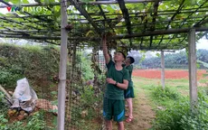 Thái Nguyên: "Điểm tựa" vững chắc cho chiến sĩ mới những ngày đầu quân ngũ