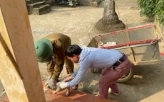 Hà Nội chủ động giám sát tình hình bệnh dại trên người