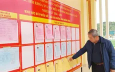 Lá phiếu nơi đầu sóng