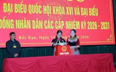 Việc tham gia chứng kiến kiểm phiếu và khiếu nại về kiểm phiếu được thực hiện thế nào?