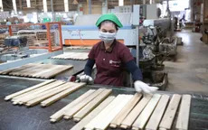 TP Hồ Chí Minh: 22% doanh nghiệp chế xuất điều chỉnh sản xuất nhằm giảm tác động chi phí nhiên liệu