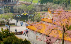 Việt Nam chính thức góp mặt trong Top 28 quốc gia đẹp nhất thế giới 