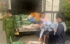 Phát hiện hàng tấn nầm, lòng lợn bẩn, không rõ nguồn gốc