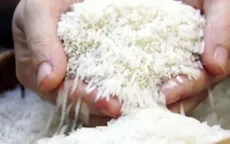 9 giống gạo thơm được phép xuất khẩu sang EU