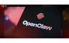 "Nuôi tôm” - Trào lưu công nghệ mới gây sốt mạng Trung Quốc