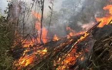 Nguy cơ cháy rừng cấp cao tại Sóc Sơn (Hà Nội) do thời tiết hanh khô kéo dài