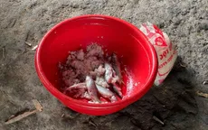 Cảnh báo ngộ độc Botulinum từ thực phẩm ủ chua