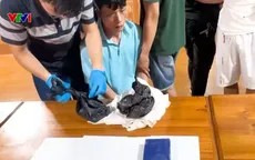 Lào Cai phấn đấu xây dựng 100% xã, phường không ma túy