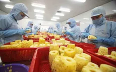 Nông sản Việt ứng phó biến động logistics