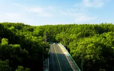 Đường chạy xuyên rừng - chạm biển "tiếp lửa" đưa Cần Giờ lên ngôi "đỉnh lưu" du lịch phía Nam