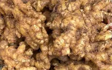 Tác dụng của gừng trong chăm sóc và nuôi dưỡng mái tóc