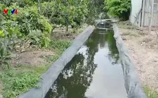 Trữ nước ứng phó hạn mặn: Giải pháp chủ động của nhà vườn