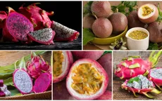 Chanh leo và thanh long Việt Nam đối diện nguy cơ bị EU siết chặt kiểm soát