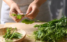 "Lộc xanh" trao sức khỏe