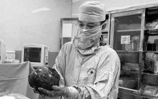 Bóc khối u xơ gần 30cm để mở đường lấy thai