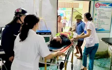 Ong rừng đốt - nguy cơ sốc phản vệ trong vài phút