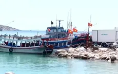 Cầu cảng Bãi Kinh xuống cấp, tàu thuyền phải cập bến tạm