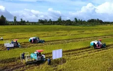 Doanh nghiệp, hiệp hội chung tay giữ nhịp sản xuất nông nghiệp