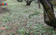 4 người chết, 9 người bị thương do mưa đá, dông lốc, sét ở Hà Nội và các tỉnh miền Bắc