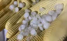 Dông mạnh kèm mưa đá nhiều nơi ở miền Bắc: Cây đổ, nhà tốc mái, 1 người bị thương