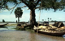 Chiếu 17 tác phẩm kinh điển nhìn lại “Diện mạo điện ảnh Việt Nam 40 năm Đổi mới” tại DANAFF IV